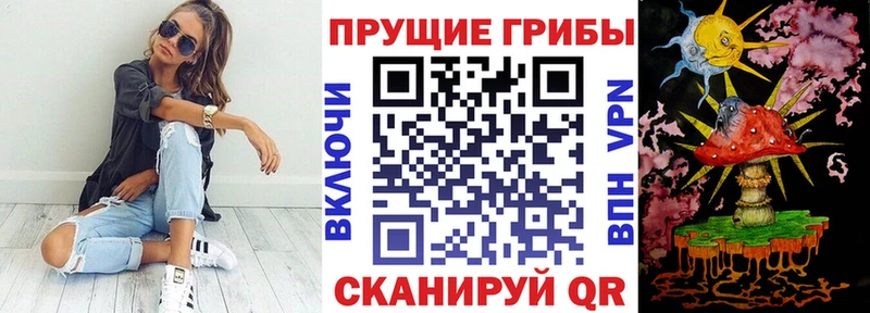 купить  цена  Северодвинск  кракен ТОР  Галлюциногенные грибы прущие грибы 