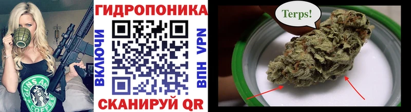 хочу наркоту  Северодвинск  Бошки марихуана ГИДРОПОН 